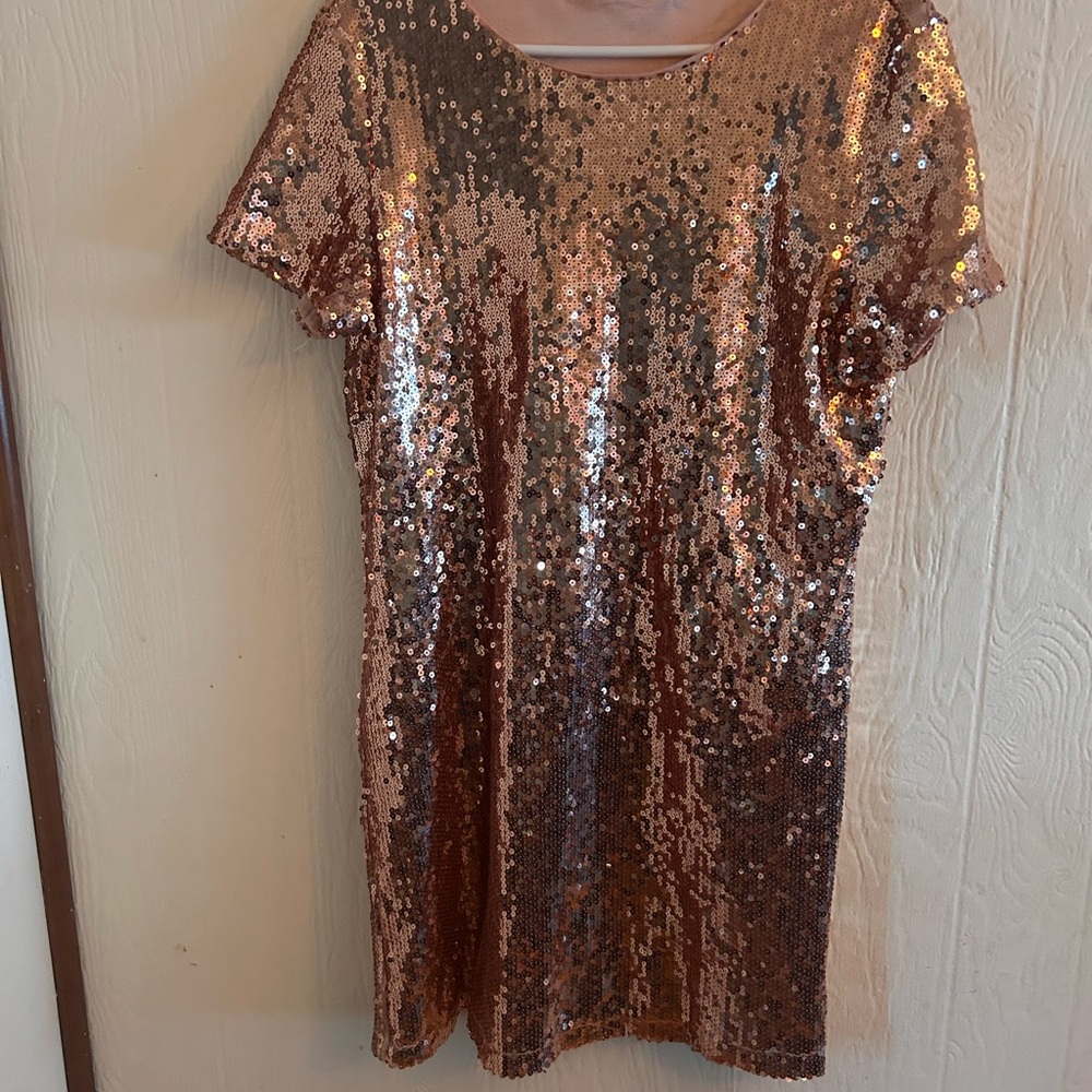 Sequin Short Sleeve Dress